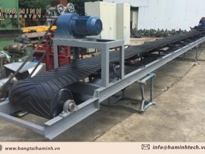 Băng tải cao su Gân V