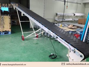 Băng tải nâng hạ