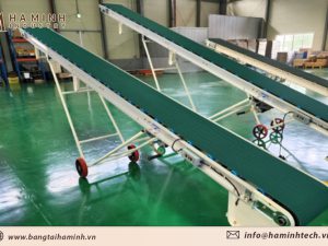 Băng tải nâng hạ