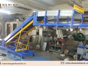 Băng tải nâng hạ