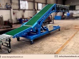 Băng tải nâng hạ