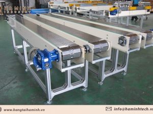 Băng tải xích tấm đôi