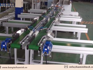 Băng tải phân loại sản phẩm tay gạt