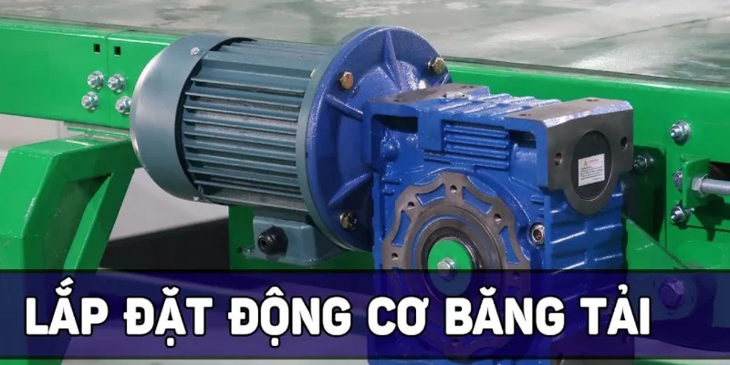 Xác định rõ nhu cầu vận chuyển trước khi lắp đặt động cơ băng chuyền