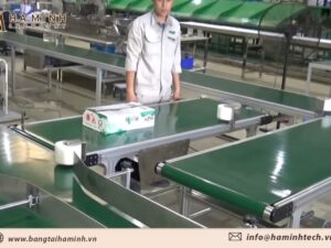 dây chuyền băng tải PVC vận chuyển thực phẩm