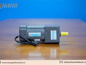 Mô tô điện mini