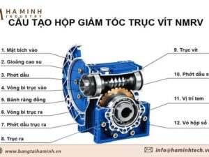 Cấu tạo động cơ hộp số NMRV